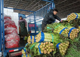 長沙：市民“菜籃子”量足價穩